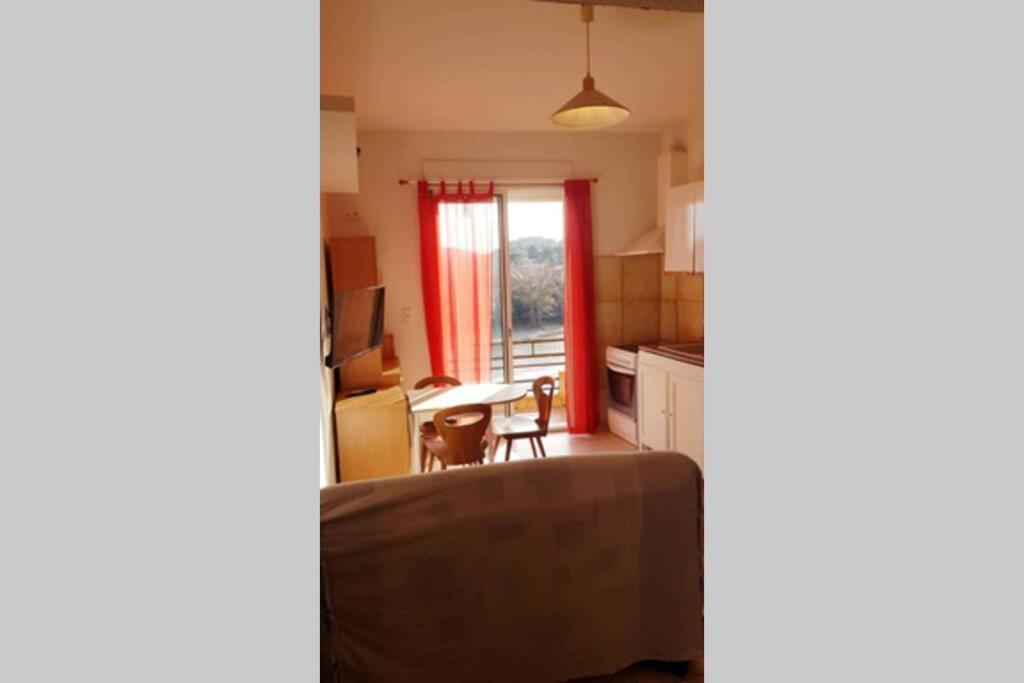 Joli Appartement, Terrasse Plein Sud Roquebrun Exteriör bild